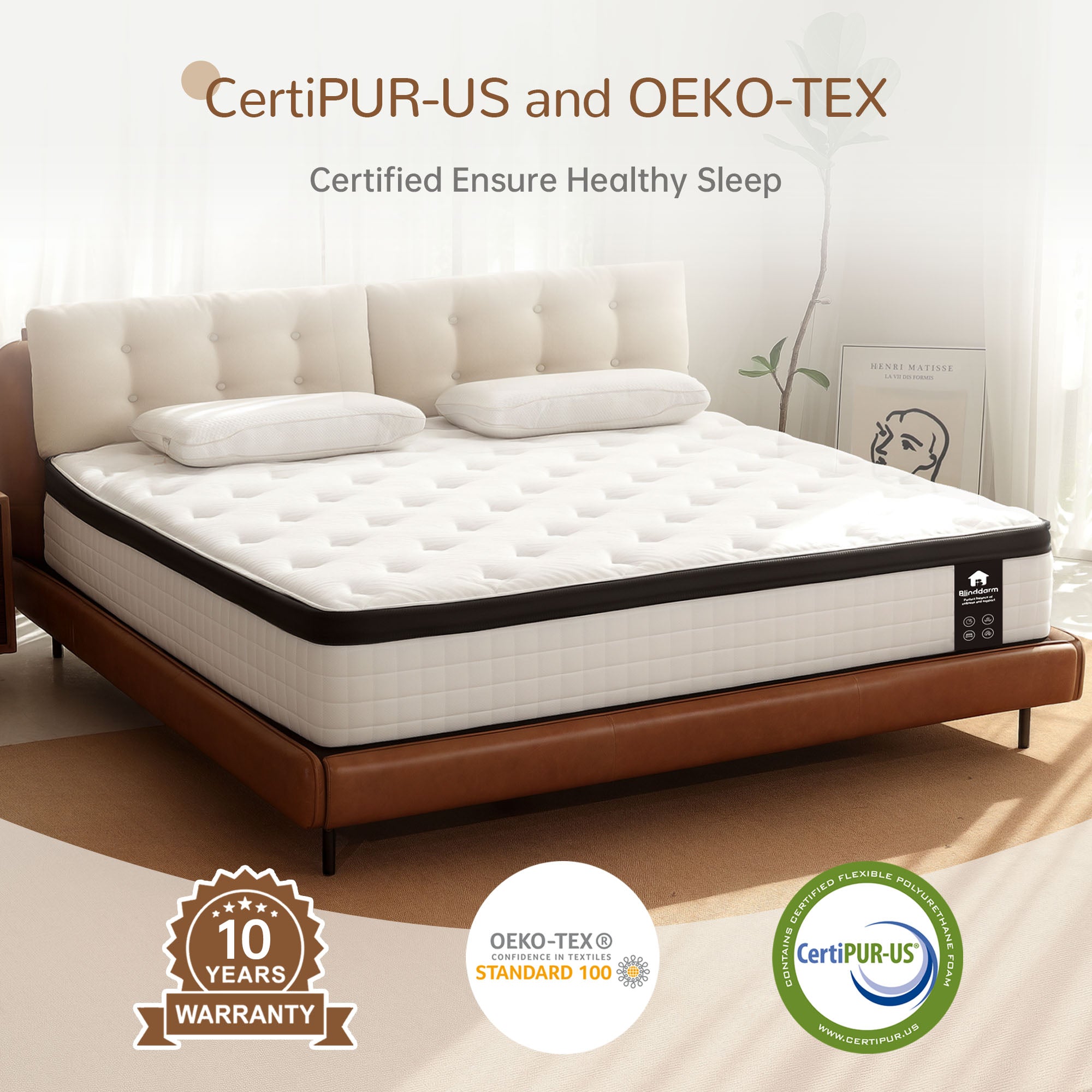 Blinhddarm 12" Hybrid Mattress Medium Firm Euro Top Mattress