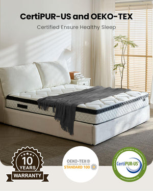 Blinddarm 12" Hybrid Memory Foam Mattress in a Box, CertiPUR-US - Blinddarm