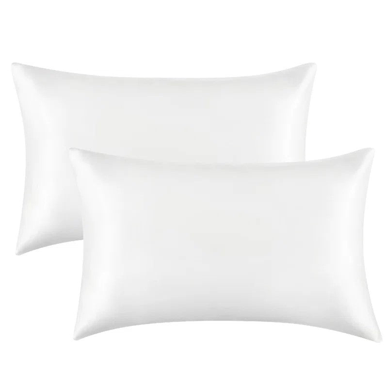 Queen Pillowcases 2 Pack 20×30 Inches